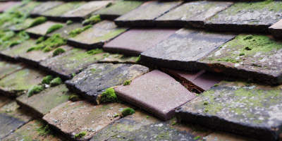 Bradley Green roof repair costs